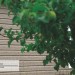 Сайдинг Ю-Пласт TIMBERBLOCK Пихта (Тимберблок) Cахалинская купить в Ярославле